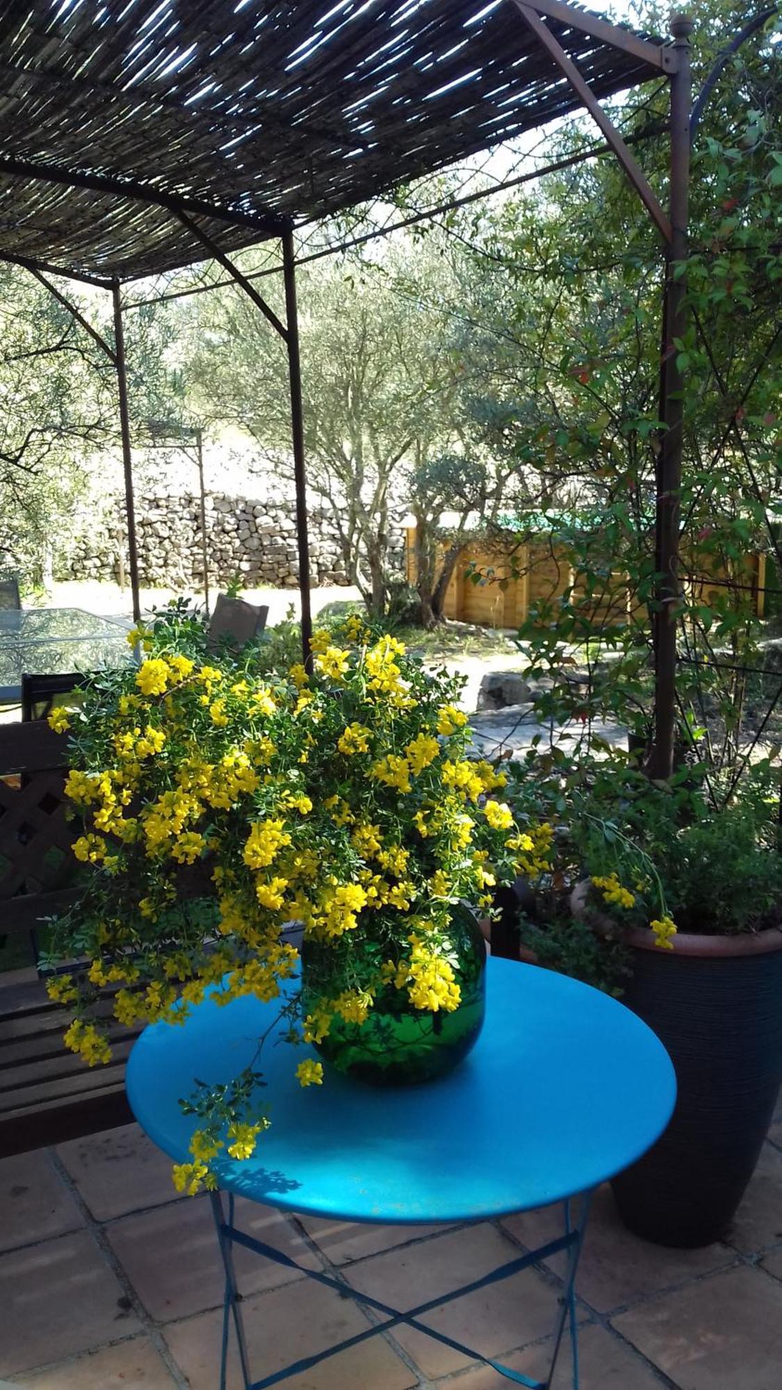 Les Chardons Bleus Bed & Breakfast Lorgues Exterior photo
